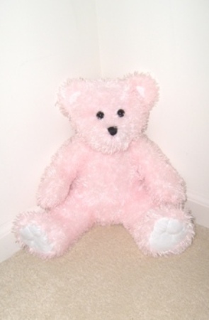 Pink Stuffed Bear